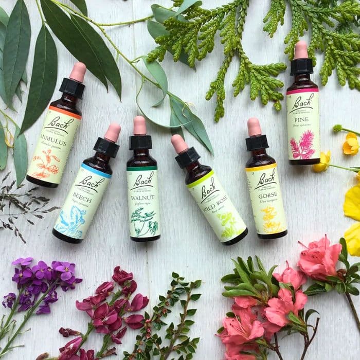 Bach Flower Remedy illustration